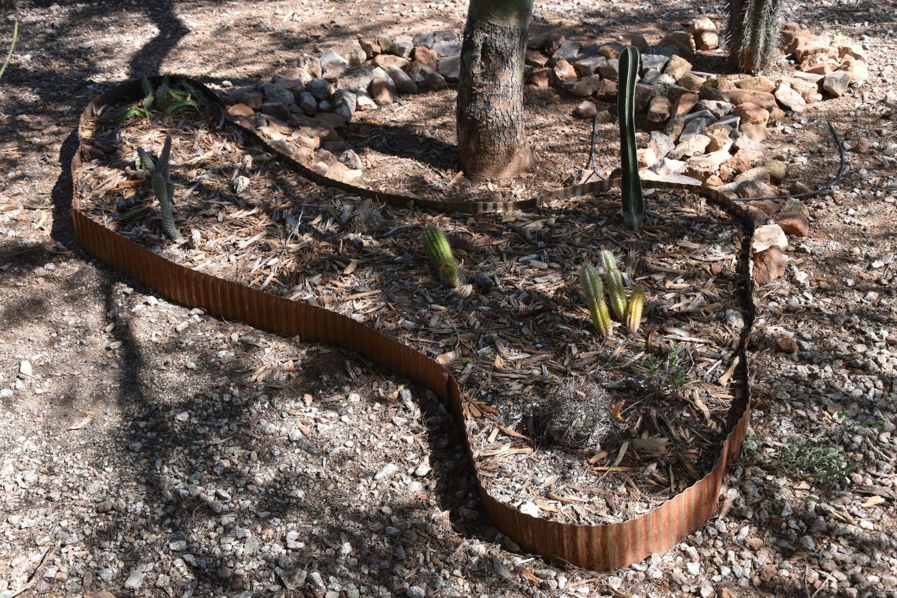 2023 Master Gardener Home Garden Show